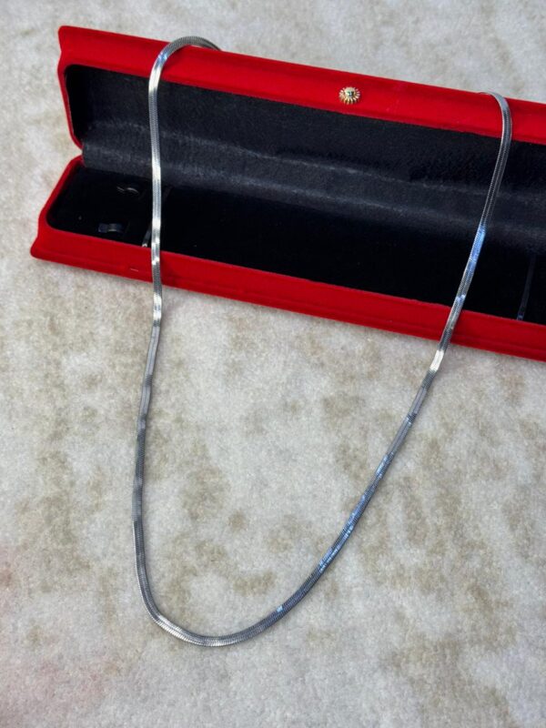 STAINLESS SNAKE CHAIN